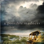 A Possible Madness by Frank Macdonald
